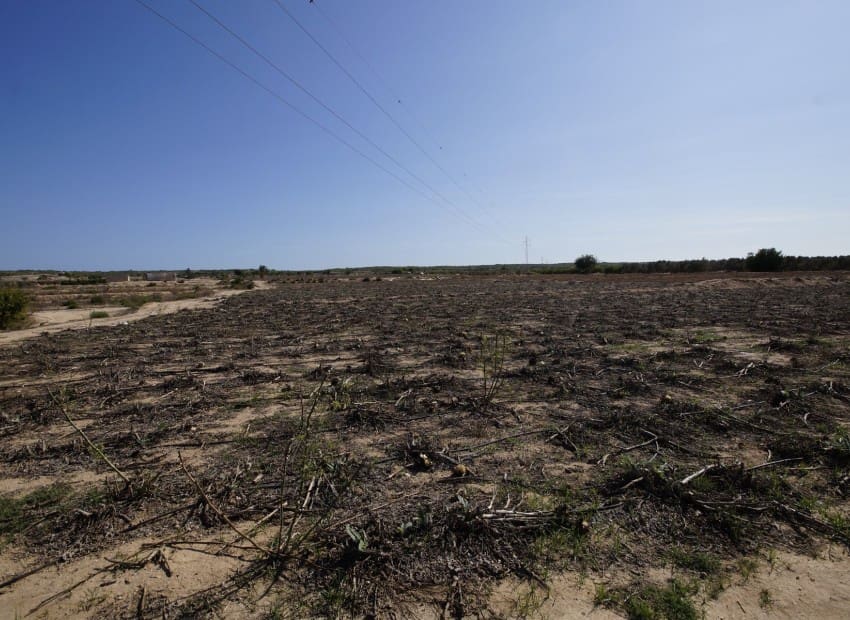 Quinta/Casa Rural para venda em San Fulgencio com piscina - 300 000 € (Ref: 6993184)