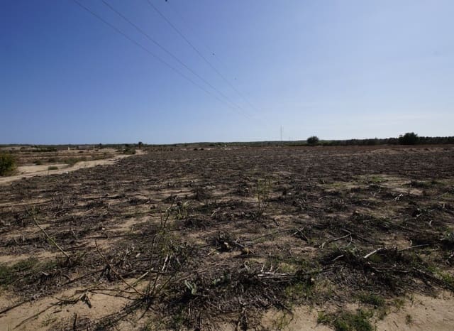 Quinta/Casa Rural para venda em San Fulgencio com piscina - 300 000 € (Ref: 6993184)