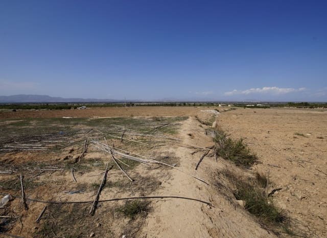 Quinta/Casa Rural para venda em San Fulgencio com piscina - 300 000 € (Ref: 6993184)