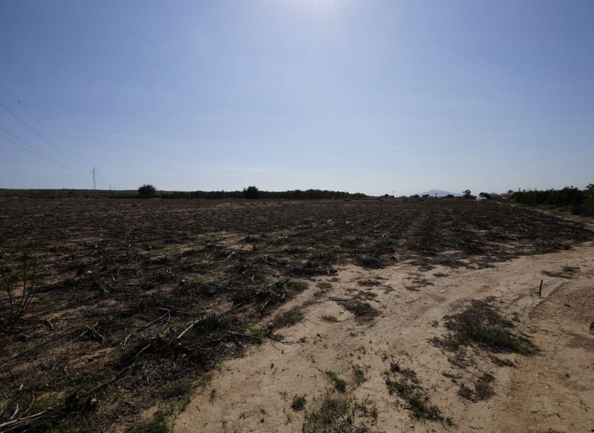 Quinta/Casa Rural para venda em San Fulgencio com piscina - 300 000 € (Ref: 6993184)