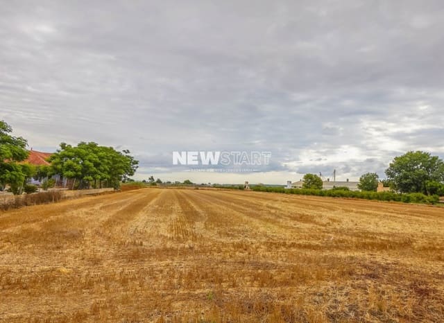 3 soverom Finca/Herregård til salgs i Dolores - € 198 000 (Ref: 9146221)