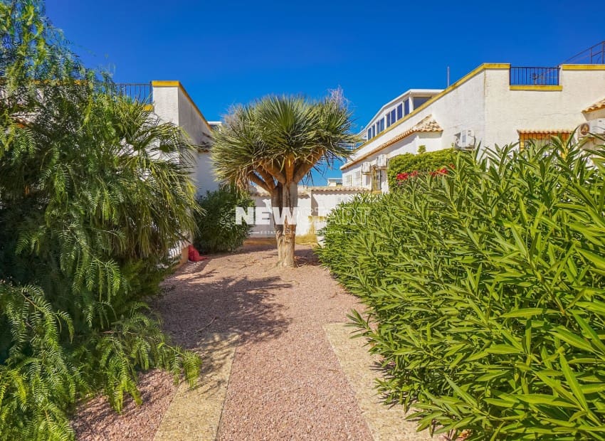 Pareado de 3 habitaciones en La Marina en venta con piscina - 169.000 € (Ref: 9199938)