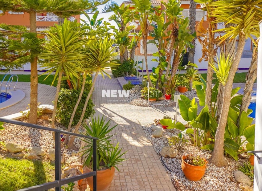 3 chambre Maison de Ville à vendre à Ciudad Quesada avec piscine - 269 000 € (Ref: 9409384)