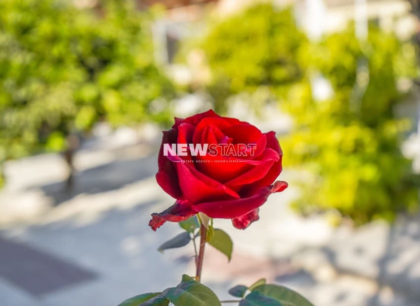 3 quarto Moradia para venda em La Marina del Pinet com piscina - 395 000 € (Ref: 9426513)