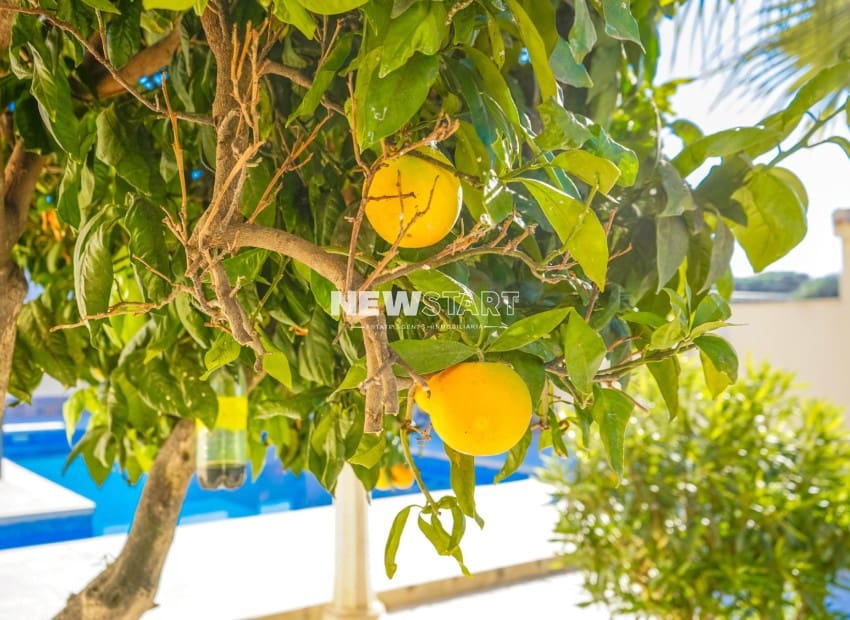 3 quarto Moradia para venda em La Marina del Pinet com piscina - 395 000 € (Ref: 9426513)