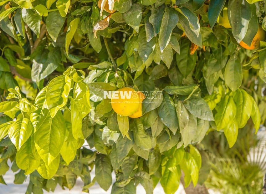 3 quarto Moradia para venda em La Marina del Pinet com piscina - 395 000 € (Ref: 9426513)