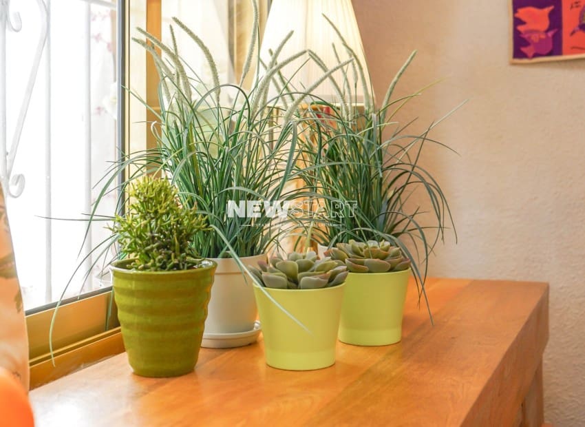 3 sypialnia Willa na sprzedaż w San Fulgencio z garażem - 199 000 € (Ref: 9571940)