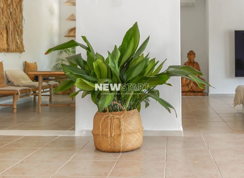 4 camera da letto Villa in vendita in San Fulgencio con piscina - 365.000 € (Rif: 9958414)