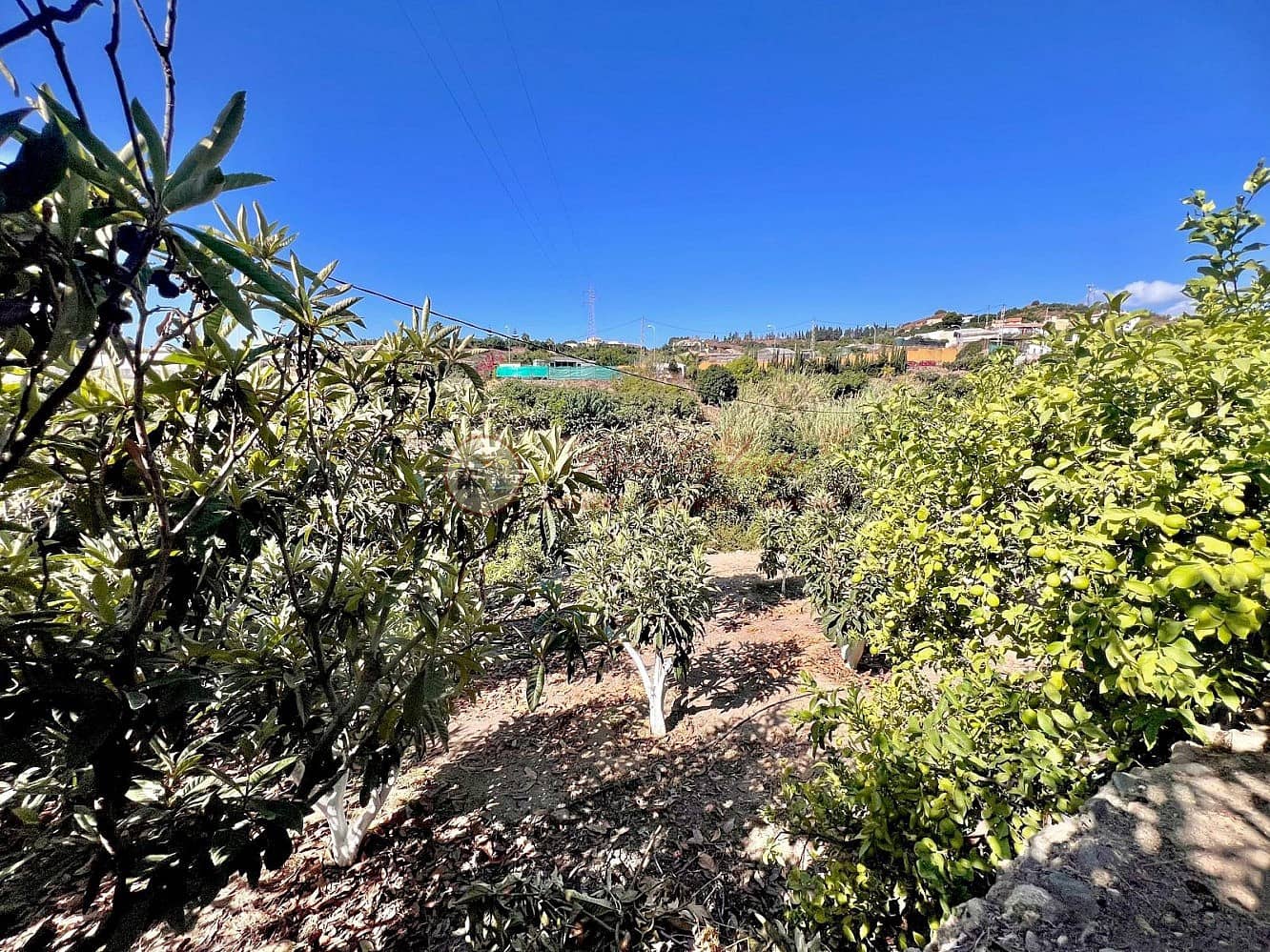 1 camera da letto Finca/Casa di Campagna in vendita in Torrox - 157.000 € (Rif: 10100655)