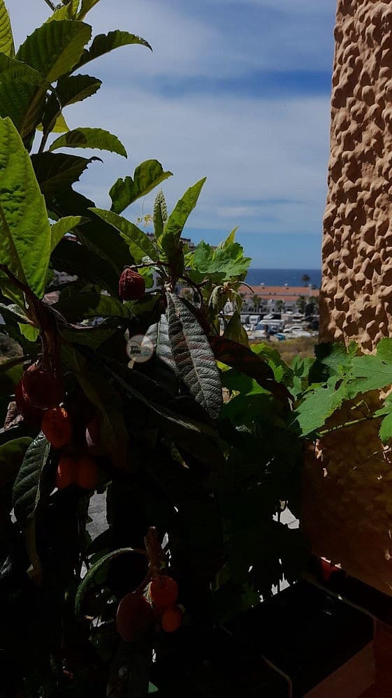 3 soveværelse Villa til salg i Torrox-Costa med garage - € 375.000 (Ref: 8837934)