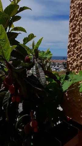 3 soverom Villa til salgs i El Peñoncillo, Torrox med garasje - € 375 000 (Ref: 8837934)