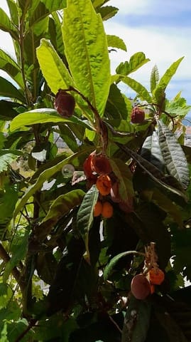 3 soverom Villa til salgs i El Peñoncillo, Torrox med garasje - € 375 000 (Ref: 8837934)