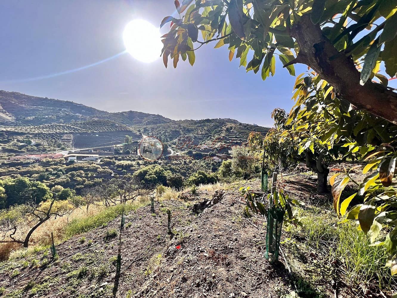 Grunde uden byggetilladelser til salg i Torrox - € 24.000 (Ref: 9049775)