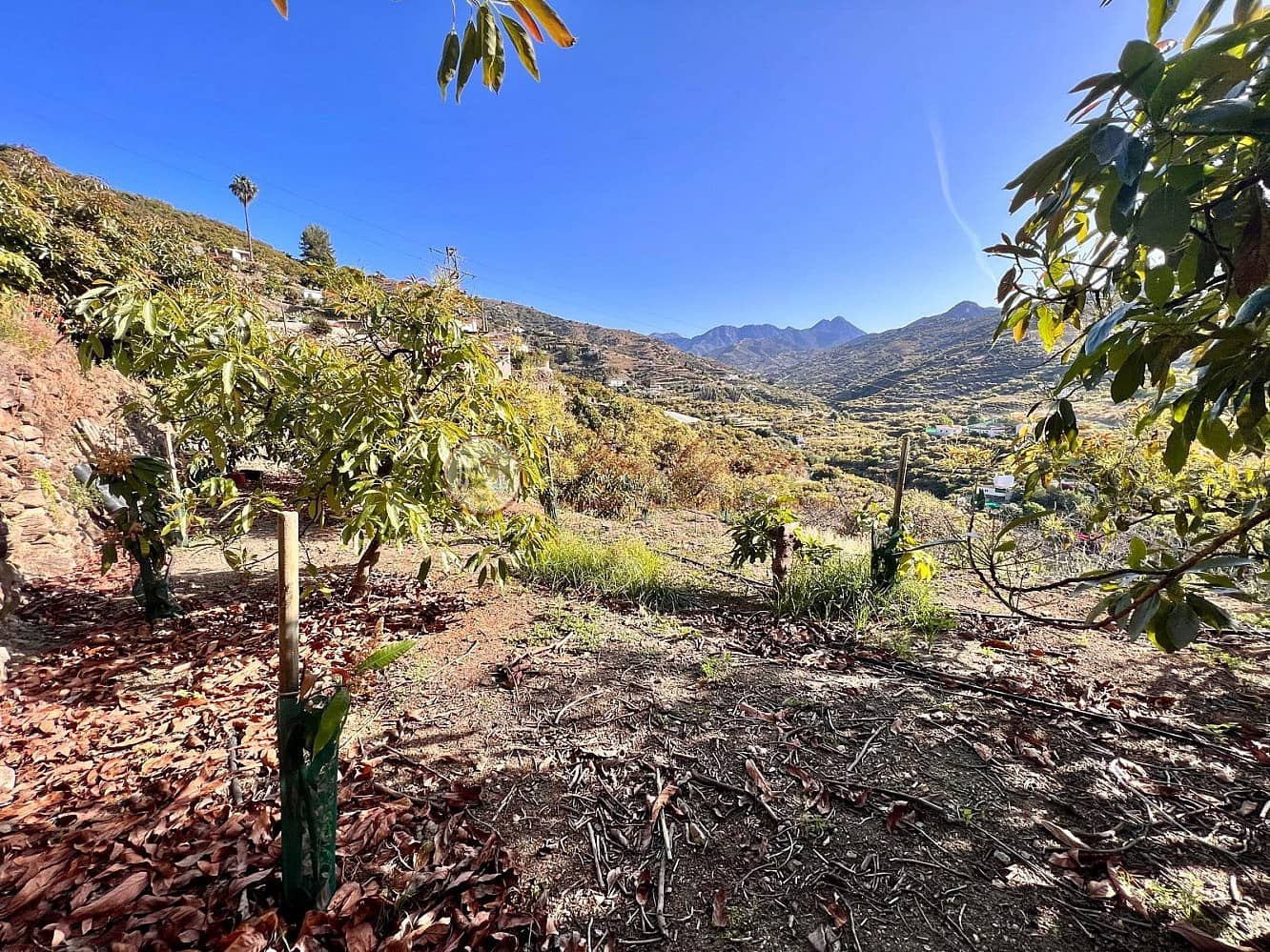 Grunde uden byggetilladelser til salg i Torrox - € 24.000 (Ref: 9049775)