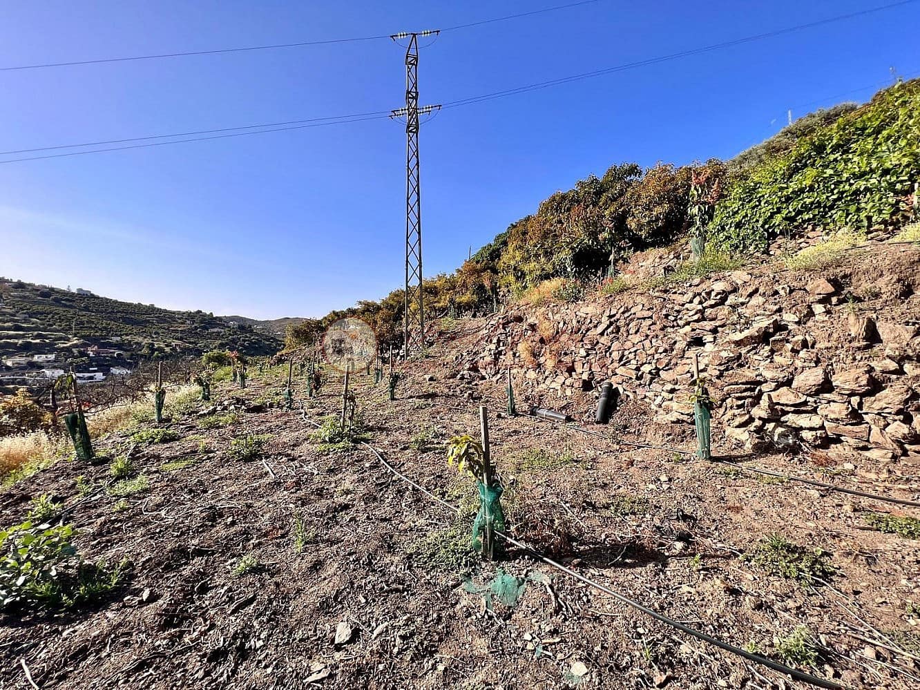 Grunde uden byggetilladelser til salg i Torrox - € 24.000 (Ref: 9049775)