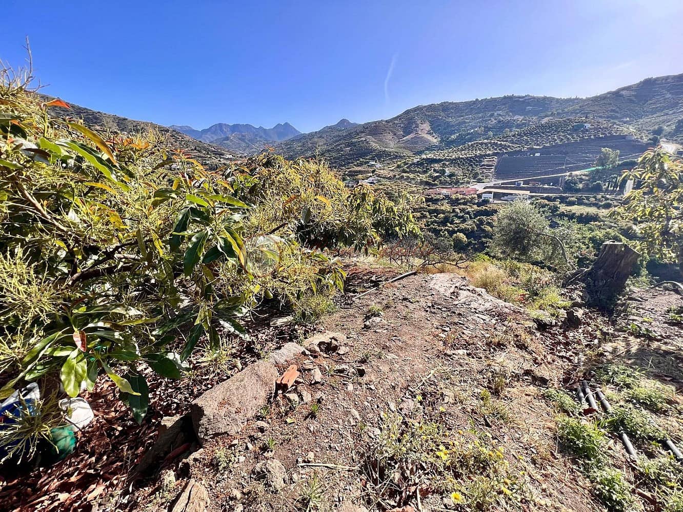 Grunde uden byggetilladelser til salg i Torrox - € 24.000 (Ref: 9049775)