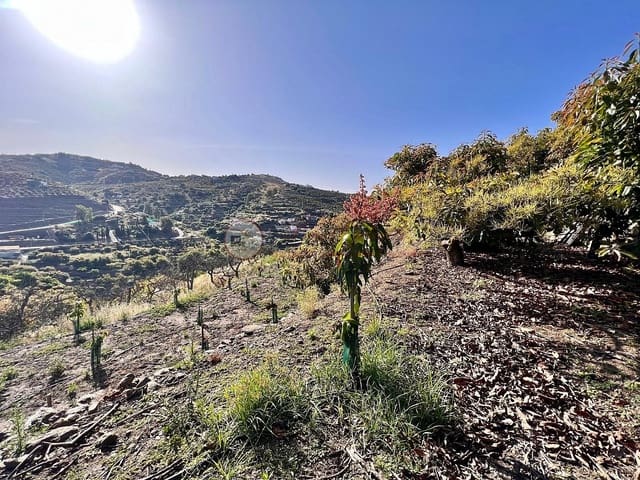 Grunde uden byggetilladelser til salg i Torrox Pueblo, Torrox - € 24.000 (Ref: 9049775)