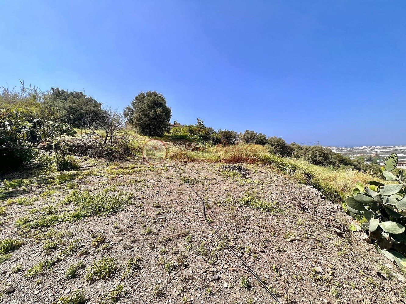 Mark till salu i Torrox-Costa - 200 000 € (Ref: 9373625)