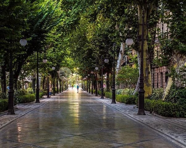 7 soveværelse Lejlighed til salg i Centro, Granada by - € 525.000 (Ref: 9566673)