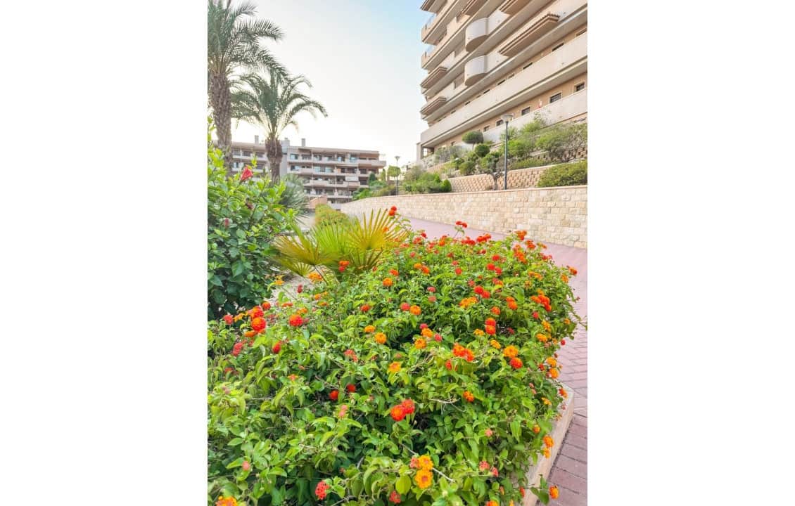 2 sypialnia Apartament na kwatery wakacyjne w Arenales del Sol z basenem - 750 € (Ref: 8459420)