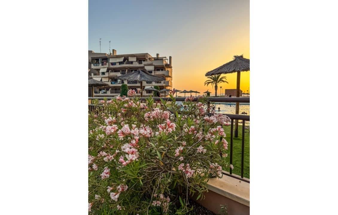 2 sypialnia Apartament na kwatery wakacyjne w Arenales del Sol z basenem - 750 € (Ref: 8459420)