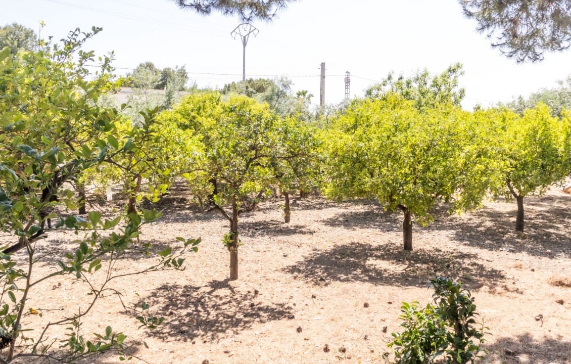 3 soveværelse Villa til salg i Elche / Elx - € 420.000 (Ref: 9036065)