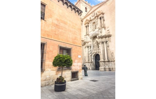 2 bedroom Commercial for rent in Centro, Elche / Elx - € 2,000 (Ref: 9301548)