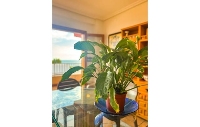4 makuuhuone Huoneisto lomavuokrausta paikassa Calas Santa Pola Este, Santa Pola - 800 € (Ref: 9330927)