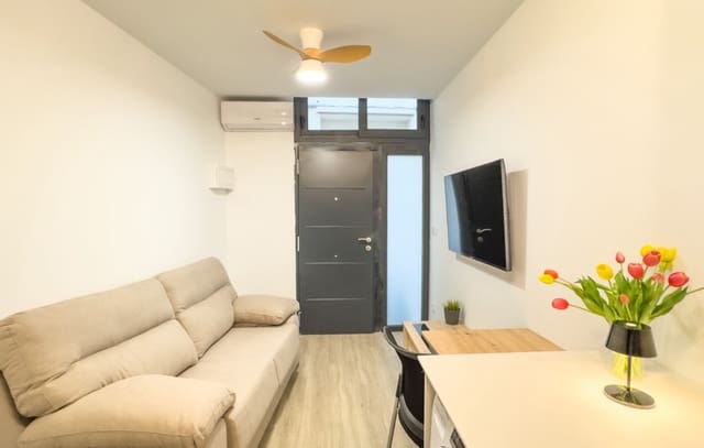 1 soveværelse Lejlighed til leje i Centro, Elche / Elx - € 600 (Ref: 9348674)