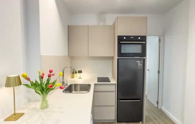 1 soveværelse Lejlighed til leje i Centro, Elche / Elx - € 600 (Ref: 9348674)