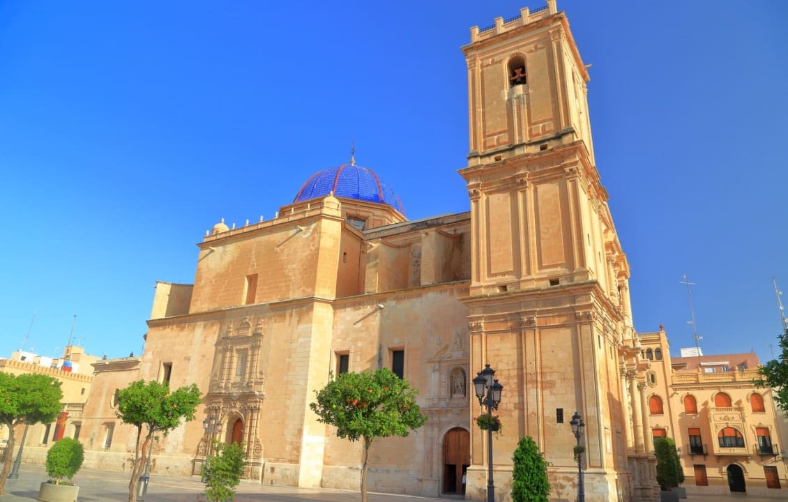 1 soveværelse Lejlighed til leje i Elche / Elx - € 600 (Ref: 9348674)