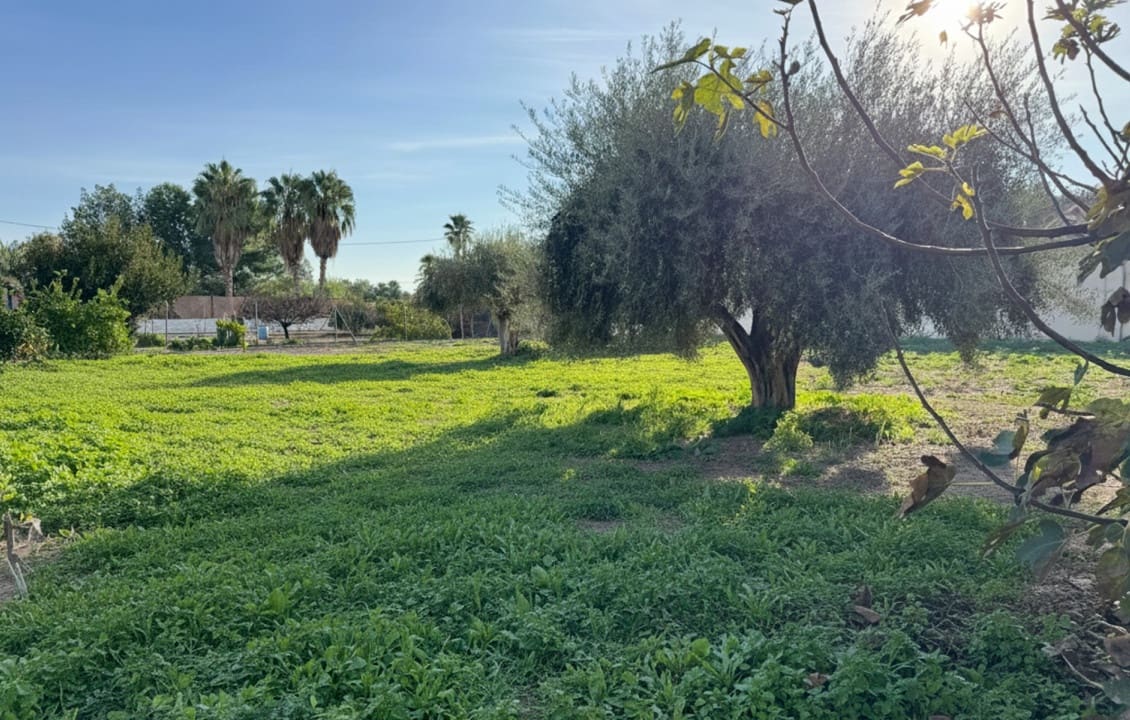 3 bedroom Finca/Country House for sale in Catral with pool - € 450,000 (Ref: 9399828)