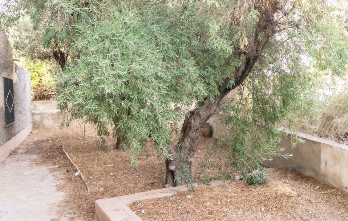 3 chambre Villa/Maison à vendre à Elche / Elx avec piscine - 128 000 € (Ref: 9524828)