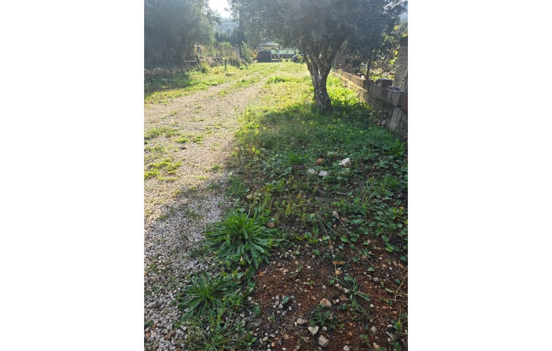 Building Plot for sale in Denia - € 98,500 (Ref: 9622948)