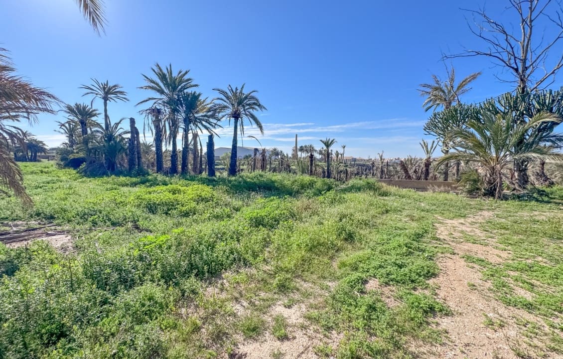 1 soveværelse Finca/Landehus til salg i Elche / Elx med swimmingpool - € 415.000 (Ref: 9750891)