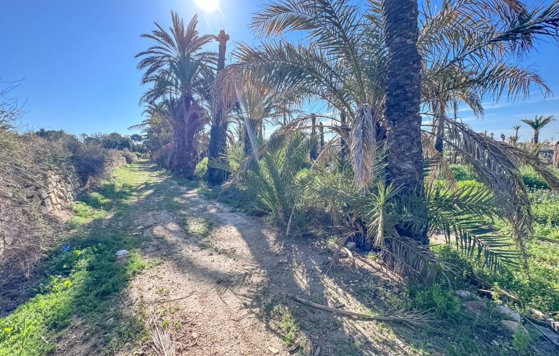 1 soveværelse Finca/Landehus til salg i Elche / Elx med swimmingpool - € 415.000 (Ref: 9750891)