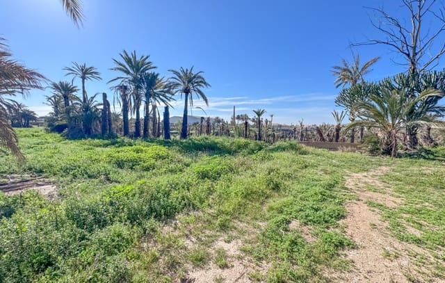 1 makuuhuone Maalaistalo myytävänä paikassa Jubalcoy / Jubalcoi, Elche / Elx mukana uima-altaan - 415 000 € (Ref: 9750891)