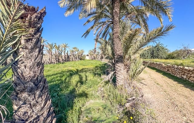 1 makuuhuone Maalaistalo myytävänä paikassa Jubalcoy / Jubalcoi, Elche / Elx mukana uima-altaan - 415 000 € (Ref: 9750891)