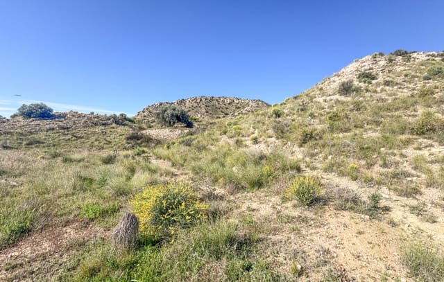 Byggegrund til salg i Jubalcoy / Jubalcoi, Elche / Elx - € 20.000 (Ref: 9752317)