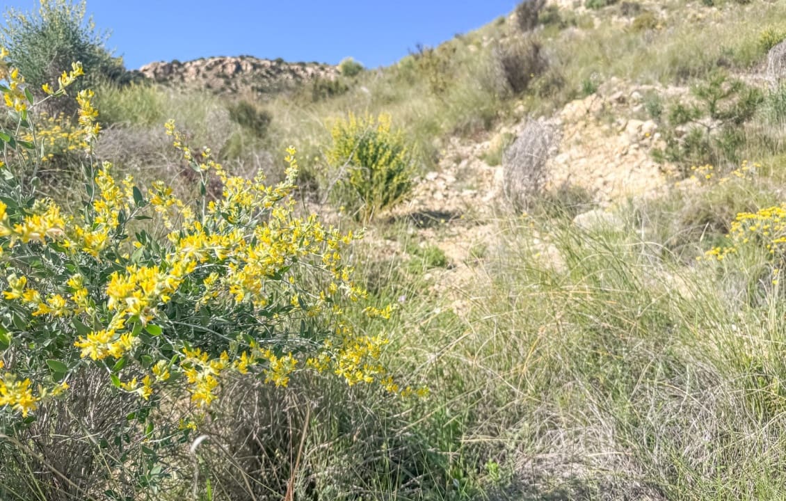 Byggegrund til salg i Elche / Elx - € 20.000 (Ref: 9752317)