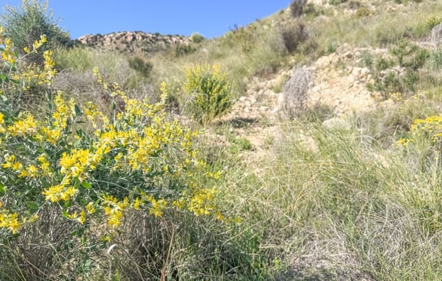 Byggegrund til salg i Jubalcoy / Jubalcoi, Elche / Elx - € 20.000 (Ref: 9752317)