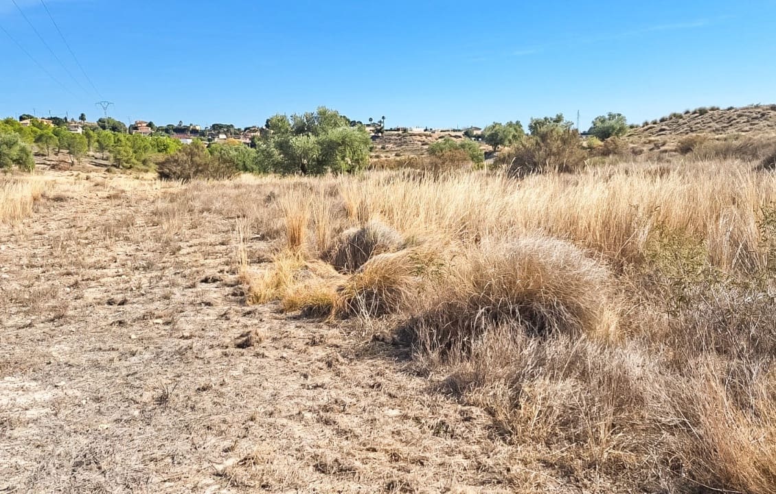 Building Plot for sale in Elche / Elx - € 120,000 (Ref: 9888470)