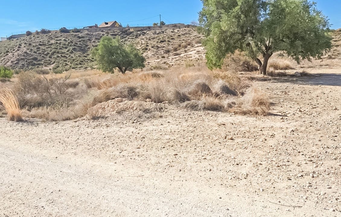 Building Plot for sale in Elche / Elx - € 120,000 (Ref: 9888470)