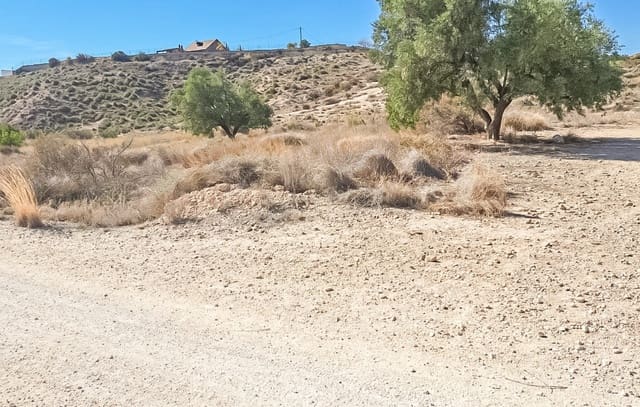 Terrain à Bâtir à vendre à Jubalcoy / Jubalcoi, Elche / Elx - 120 000 € (Ref: 9888470)
