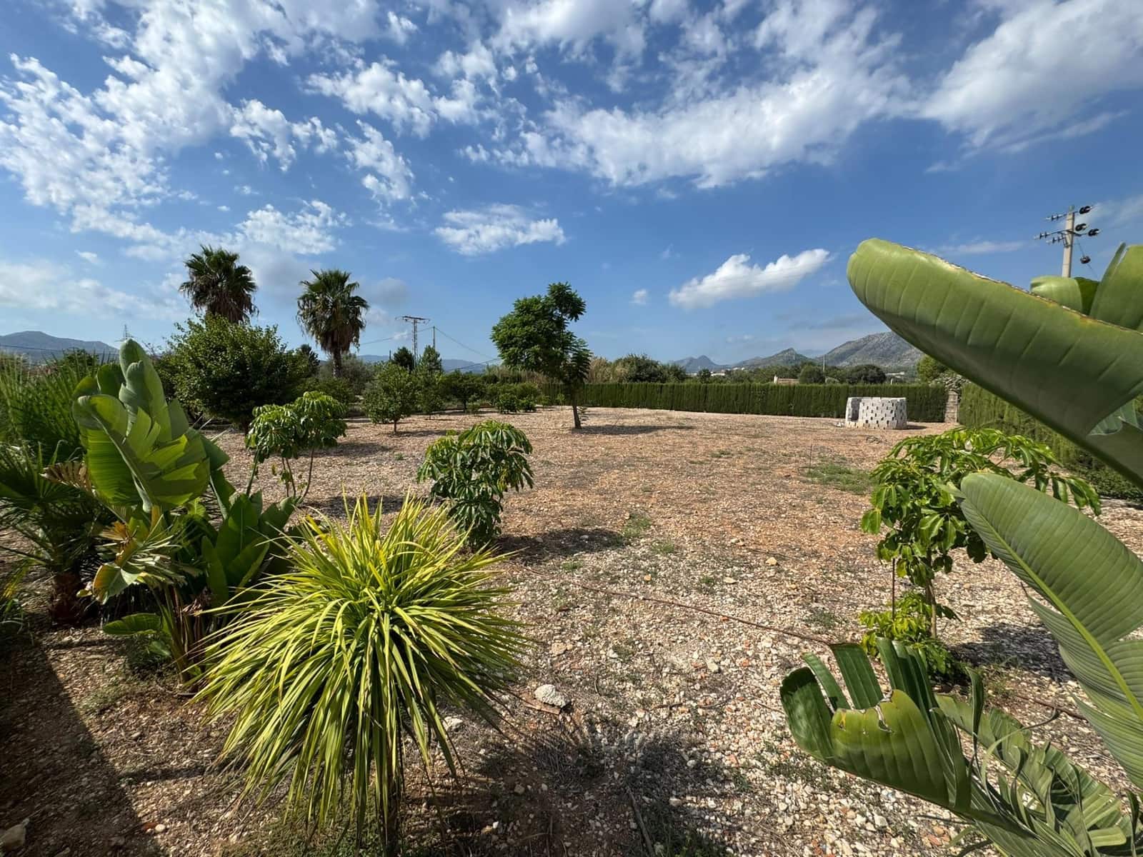 6 bedroom Villa for rent in Ondara with pool garage - € 3,500 (Ref: 10094719)