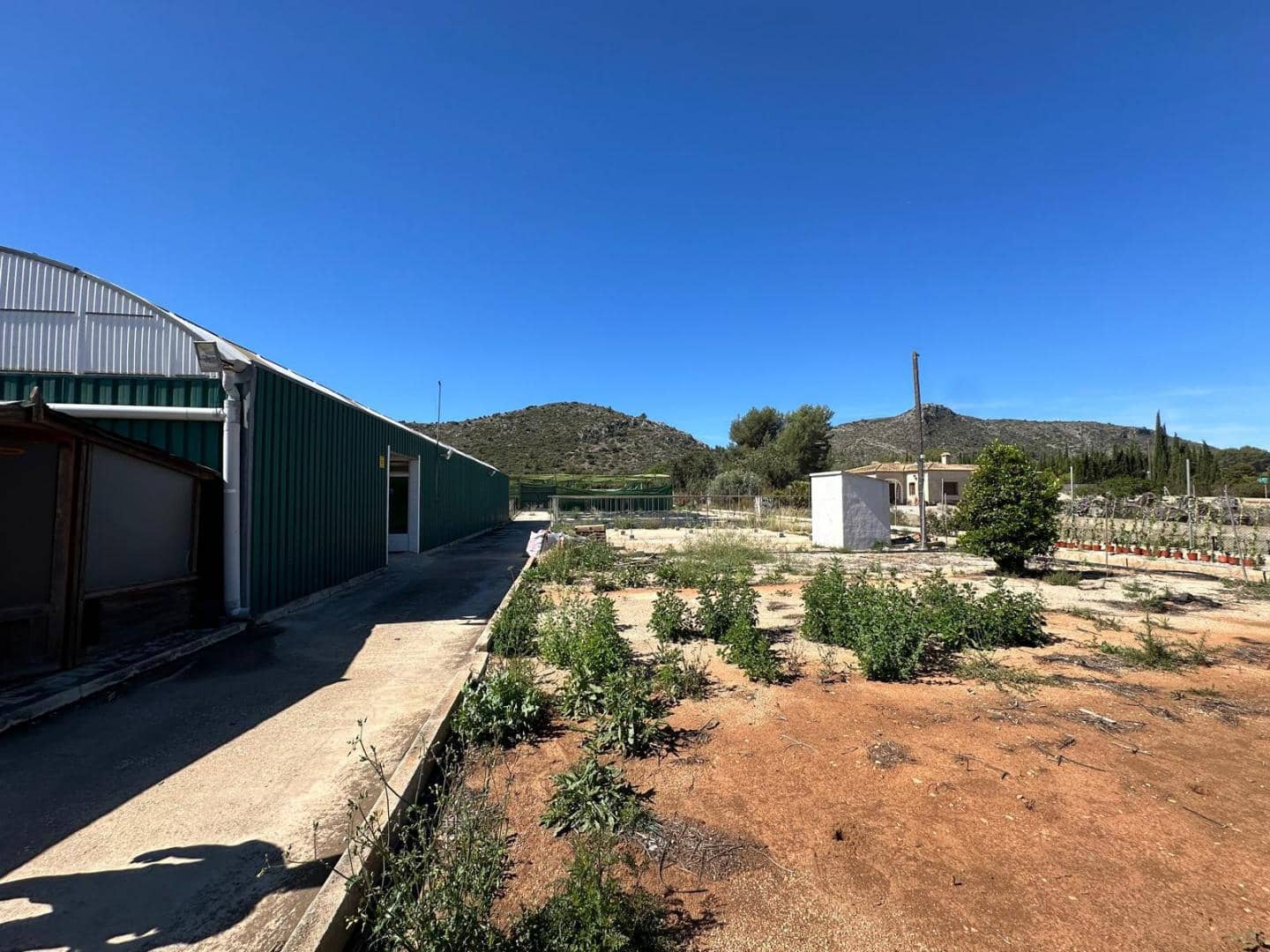 Grond te koop in Pedreguer - € 250.000 (Ref: 8611863)