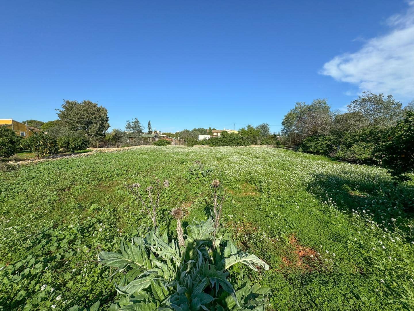 3 soverom Finca/Herregård til salgs i La Xara - € 250 000 (Ref: 8635022)