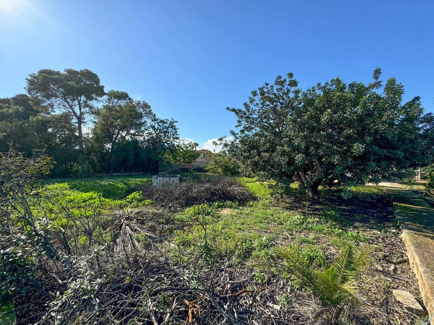 3 soverom Finca/Herregård til salgs i La Xara - € 250 000 (Ref: 8635022)