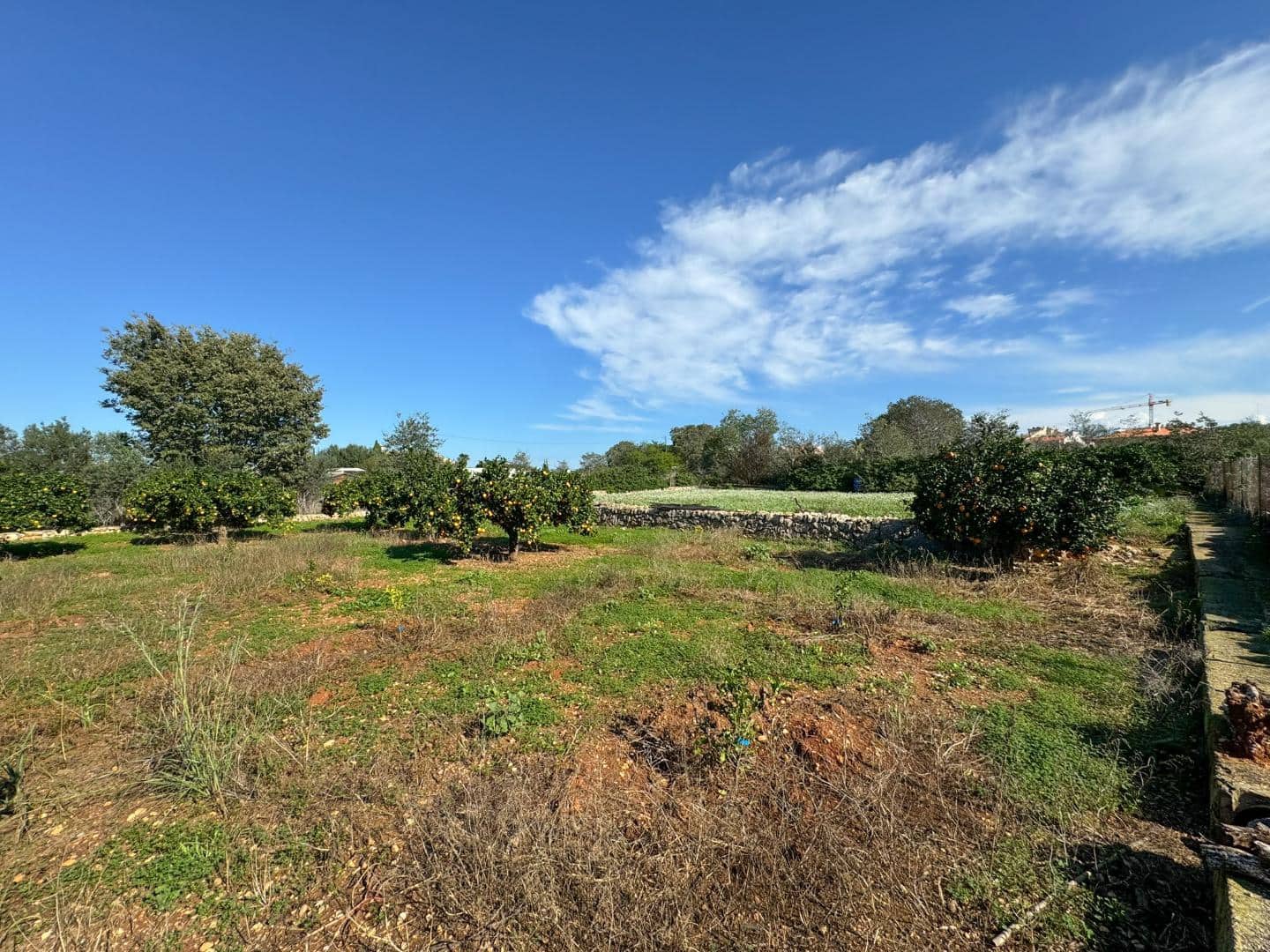 3 soverom Finca/Herregård til salgs i La Xara - € 250 000 (Ref: 8635022)