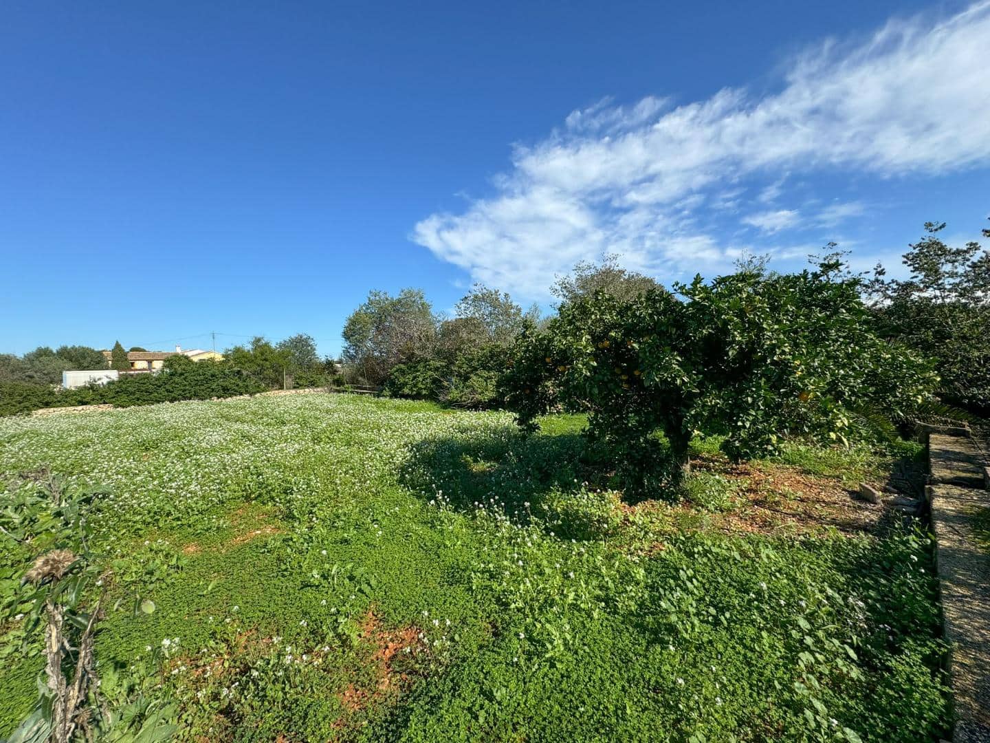 3 soverom Finca/Herregård til salgs i La Xara - € 250 000 (Ref: 8635022)